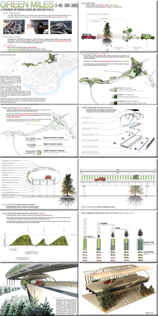 Image showcasing International Algae Competition